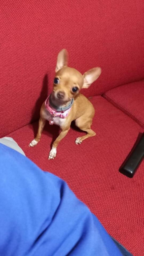 Minnie