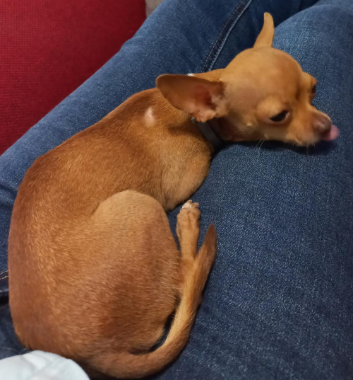 Minnie