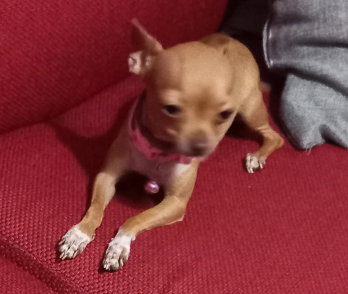 Minnie