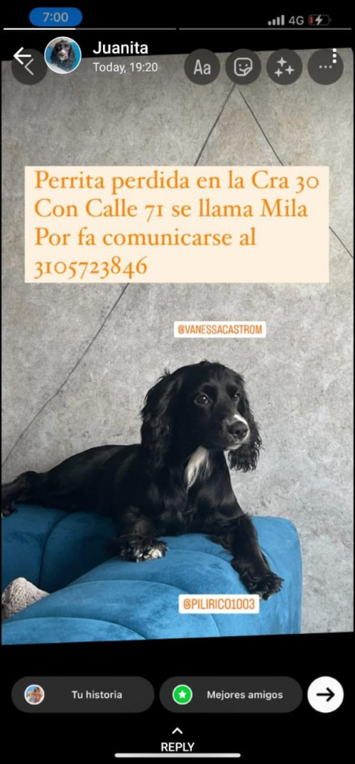Mila