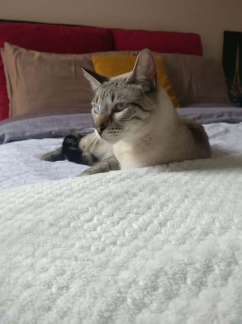 Mia
