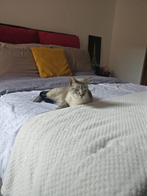 Mia