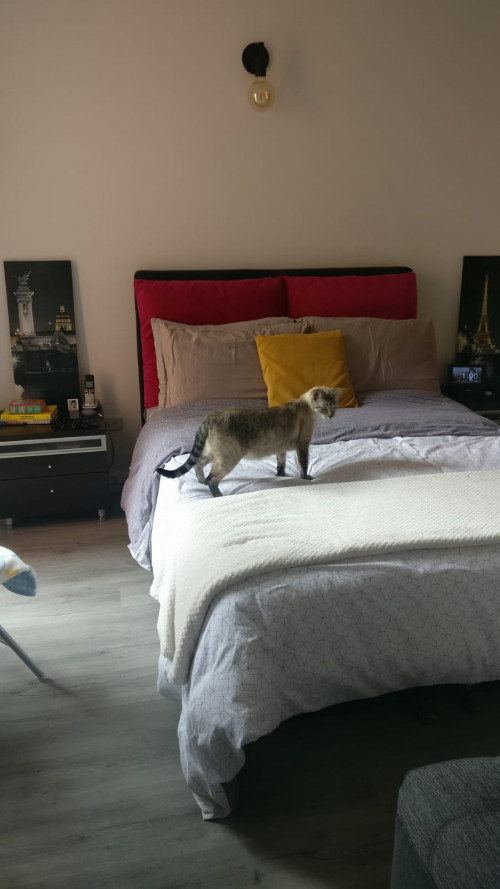 Mia