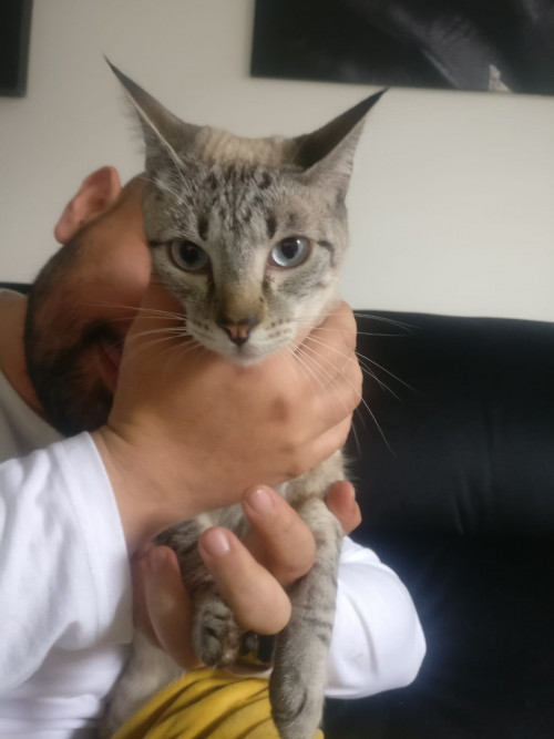 Mia