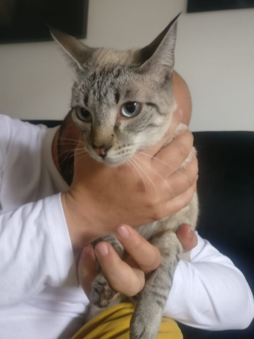 Mia