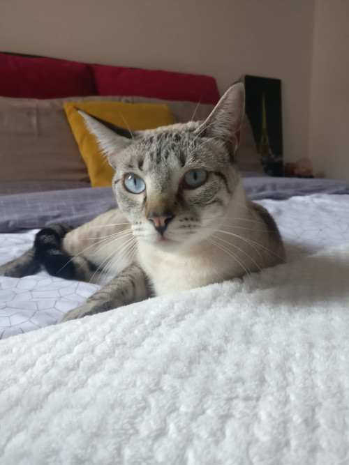 Mia