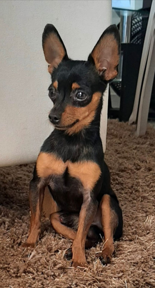 Teo