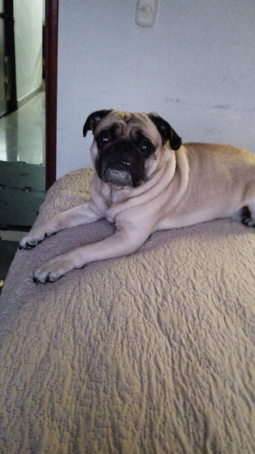 Tobby
