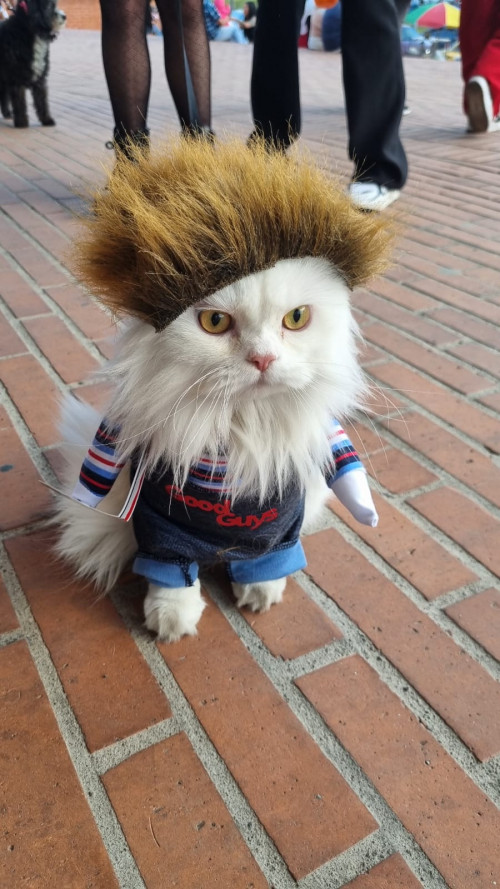 Leo