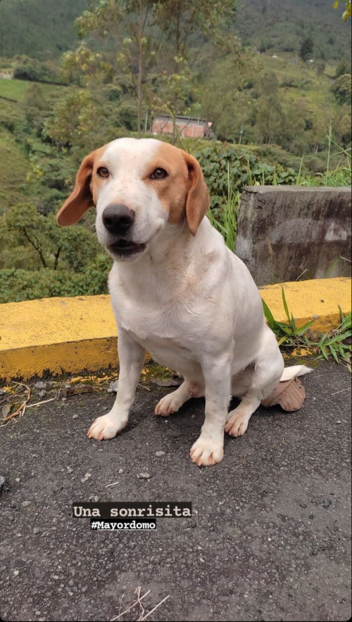 Niño