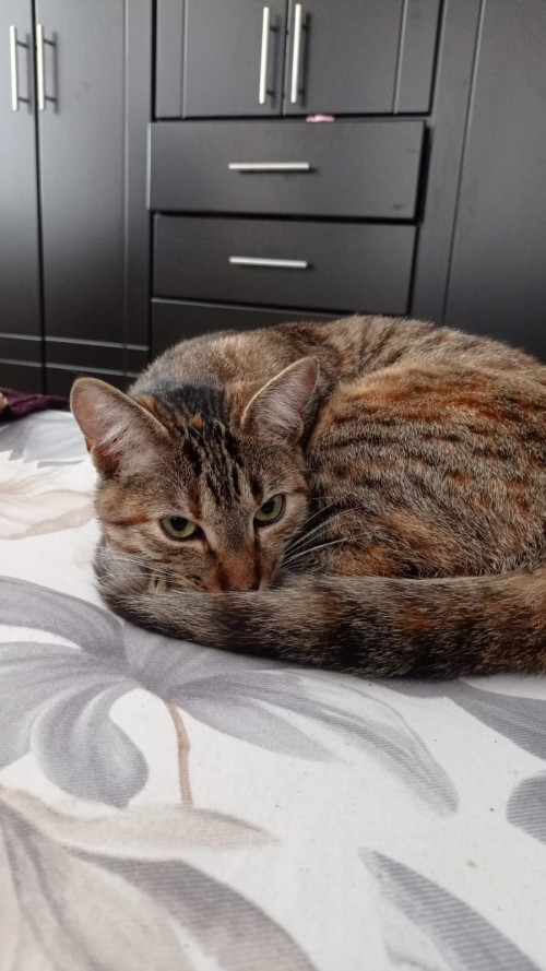 Kira