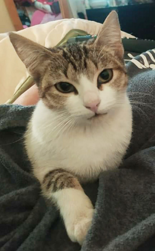 Caty