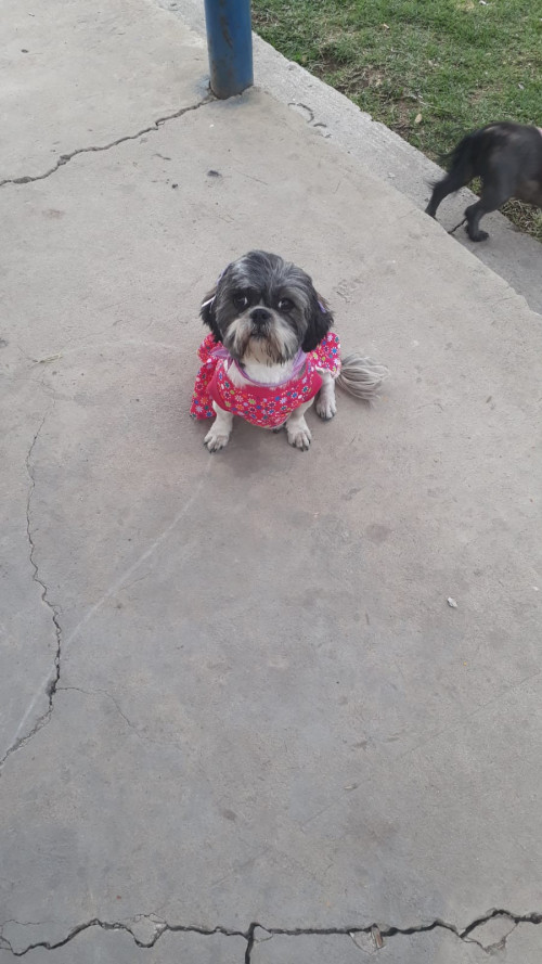 Maggie