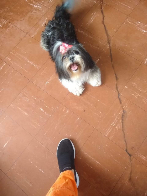 Maggie