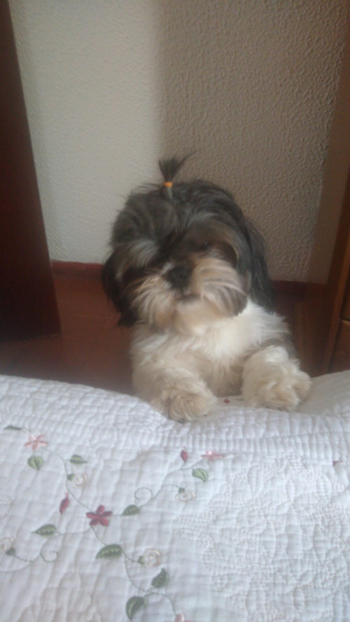 Maggie