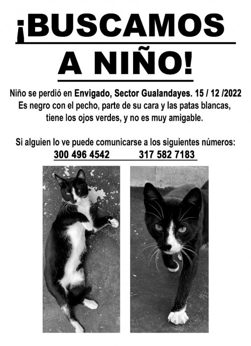Niño