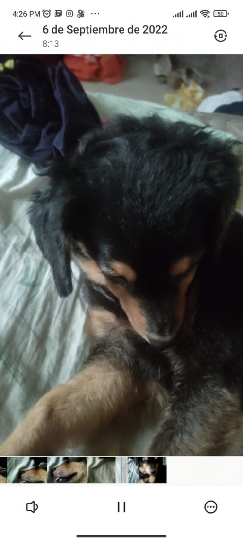 Luna