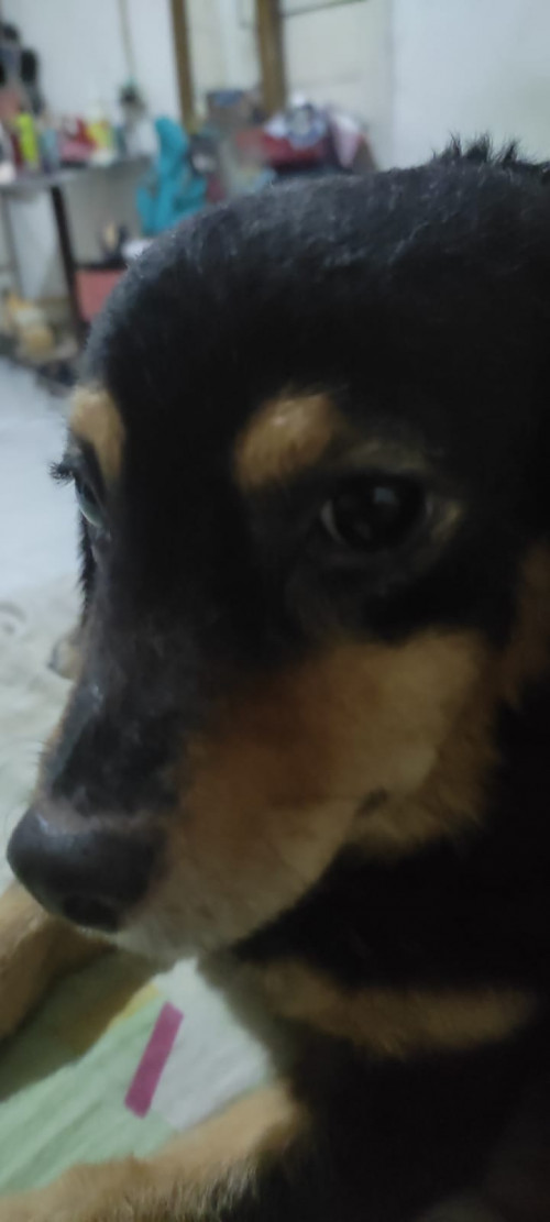 Luna