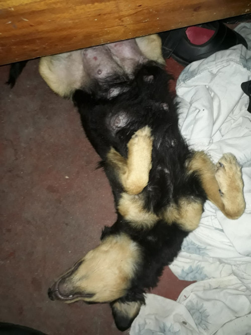 Luna