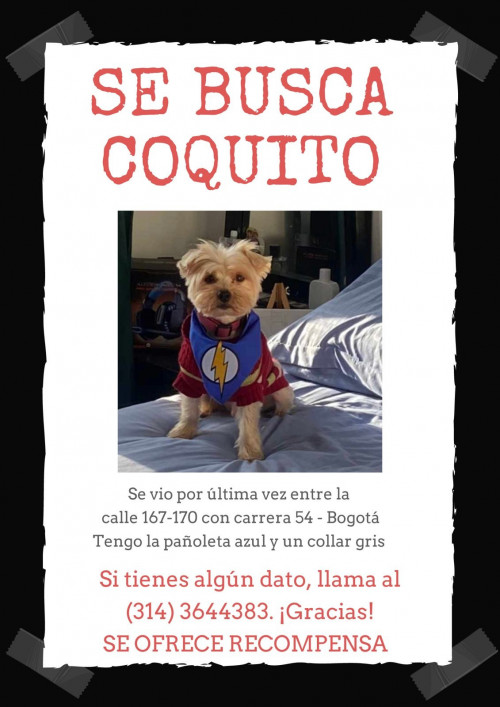 Coquito