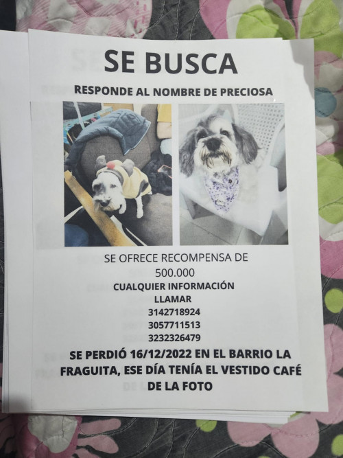 Preciosa