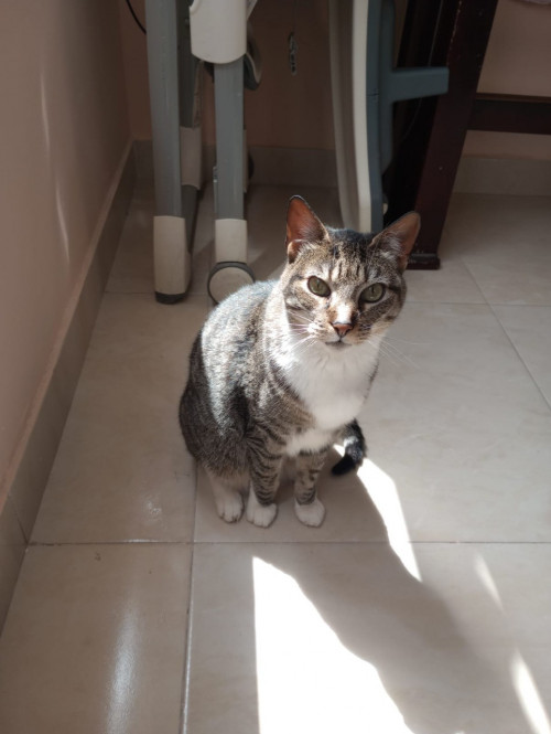 Perla