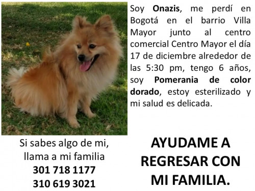 Onazis