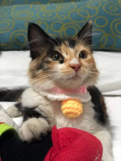 Mia