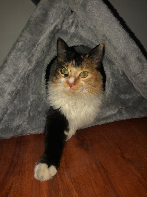 Mia