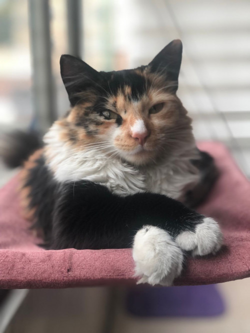 Mia