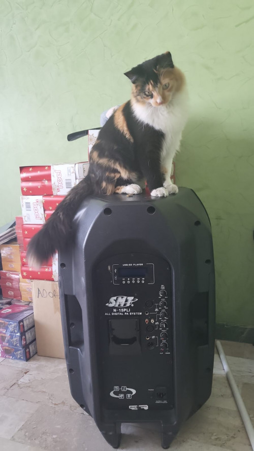 Mia