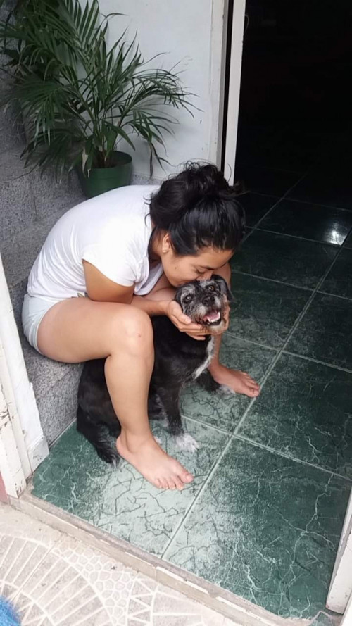Gupy
