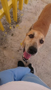 Foto de Vida en Solidaridad Quintana Roo #6