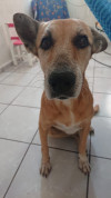 Foto de Vida en Solidaridad Quintana Roo #5