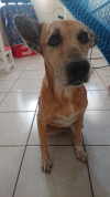 Foto de Vida en Solidaridad Quintana Roo #4