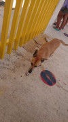 Foto de Vida en Solidaridad Quintana Roo #2