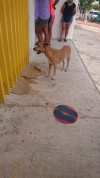 Foto de Vida en Solidaridad Quintana Roo #1