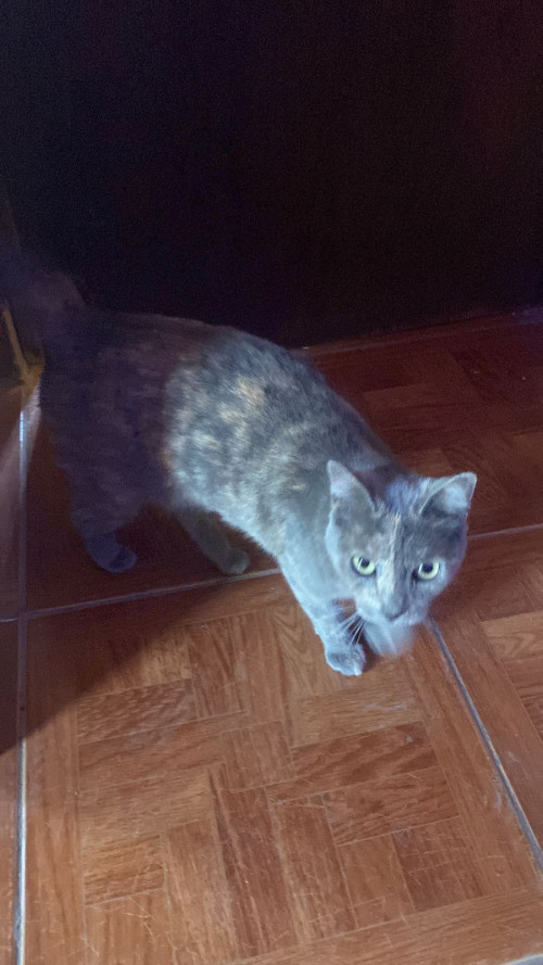 Pequeña