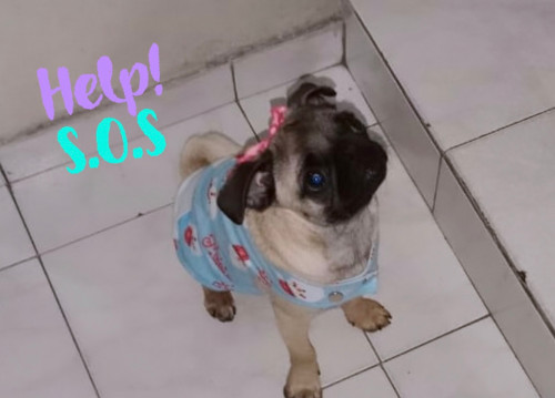 Cloe