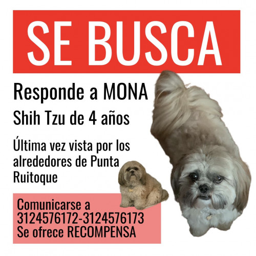 Mona