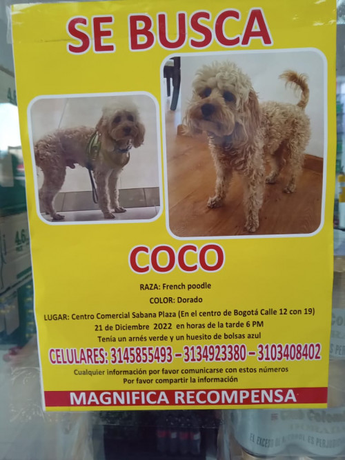 Coco