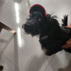 Foto de Blue en Mexicali Baja California #3