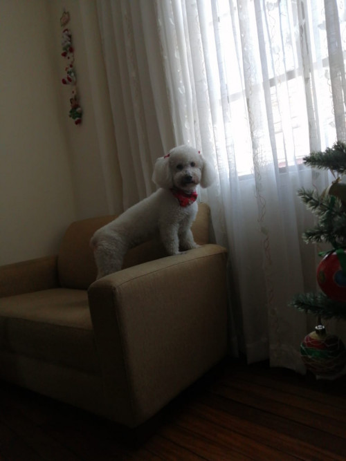 Molly