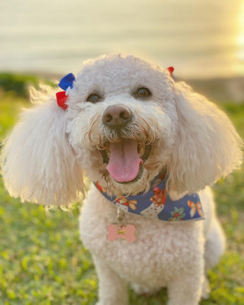 Molly