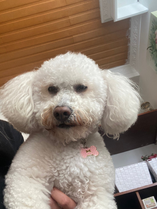 Molly