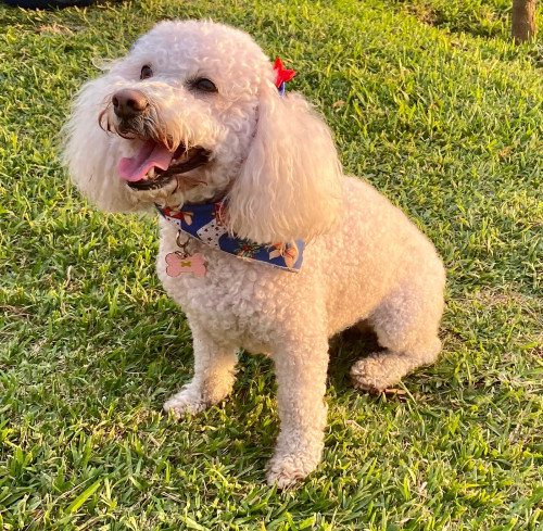 Molly