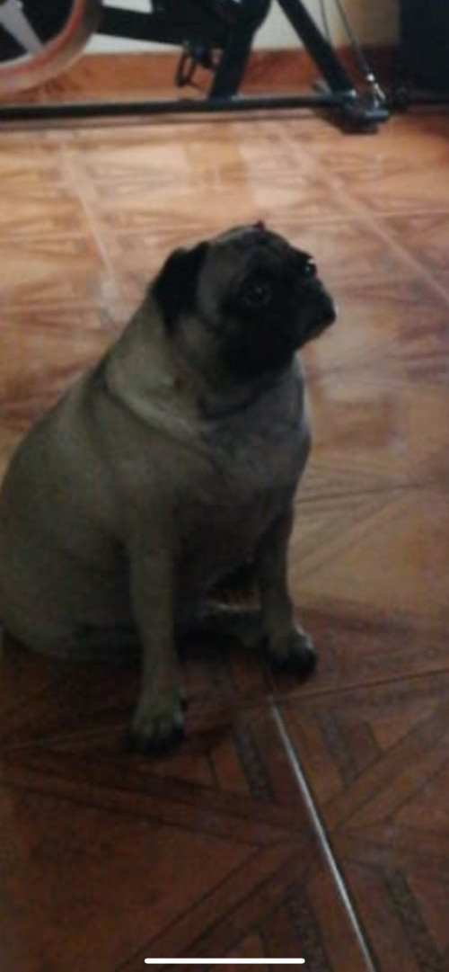 Princesa