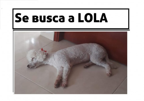 Lola