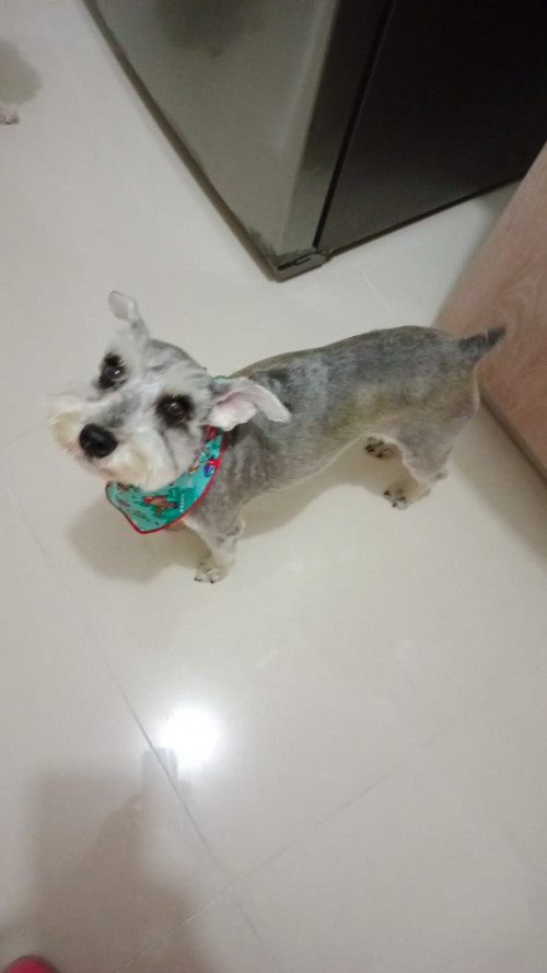 Juana