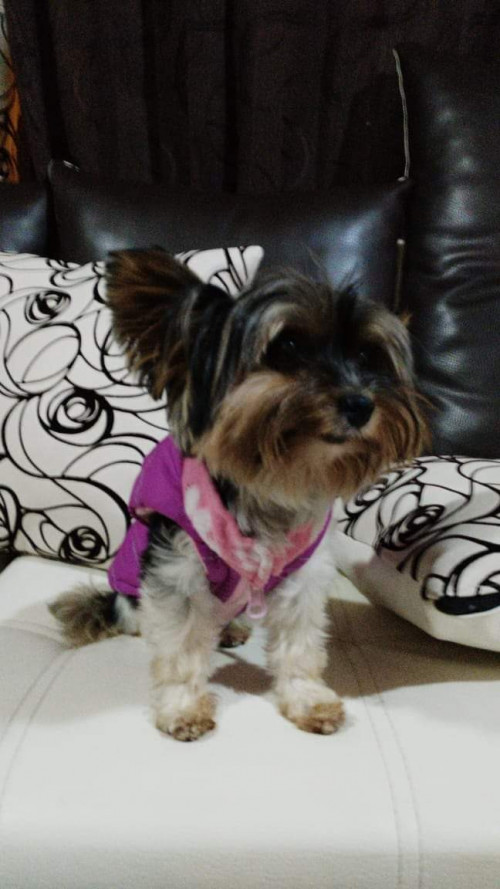 Annie